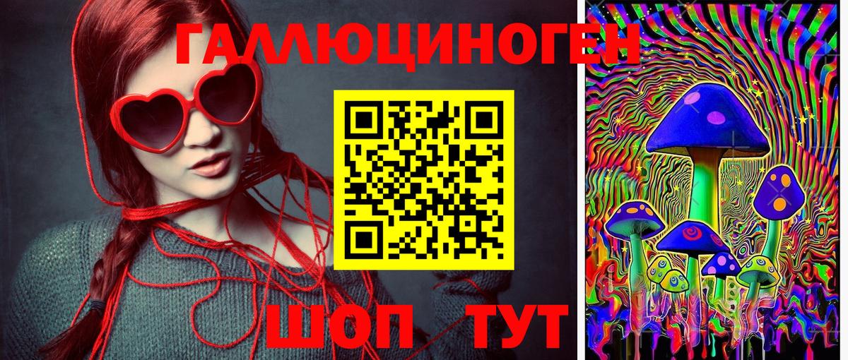 Галлюциногенные грибы Cubensis  Псилоцибиновые грибы Cubensis  Назрань  Вход с VPN 